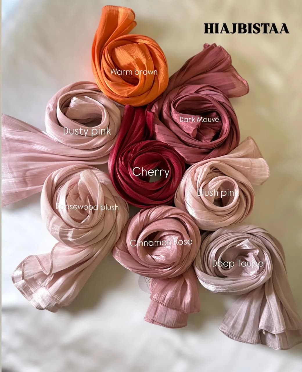 Hijabista Modest Elegance Story